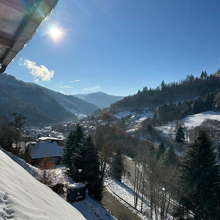 Bollenlodge - Ferienwohnung Mit Ausblick Und Top Lage Todtnau Εξωτερικό φωτογραφία