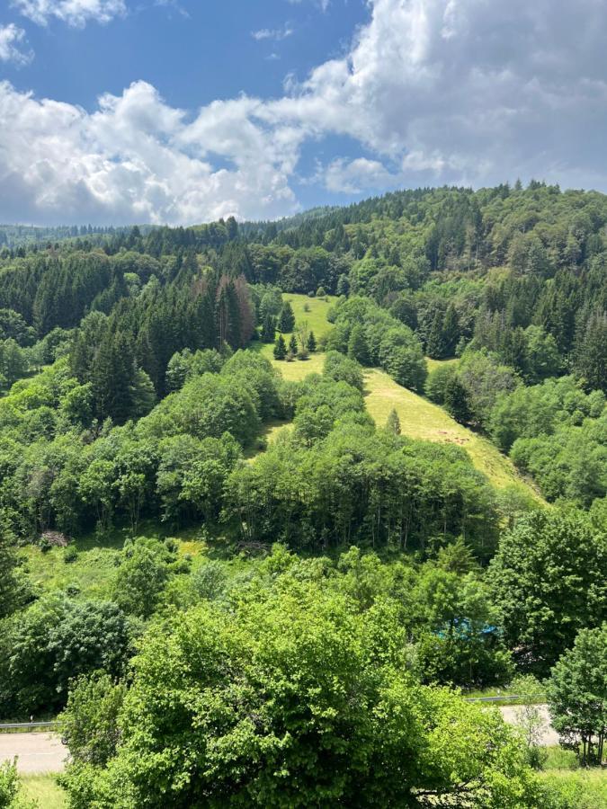 Bollenlodge - Ferienwohnung Mit Ausblick Und Top Lage Todtnau Εξωτερικό φωτογραφία