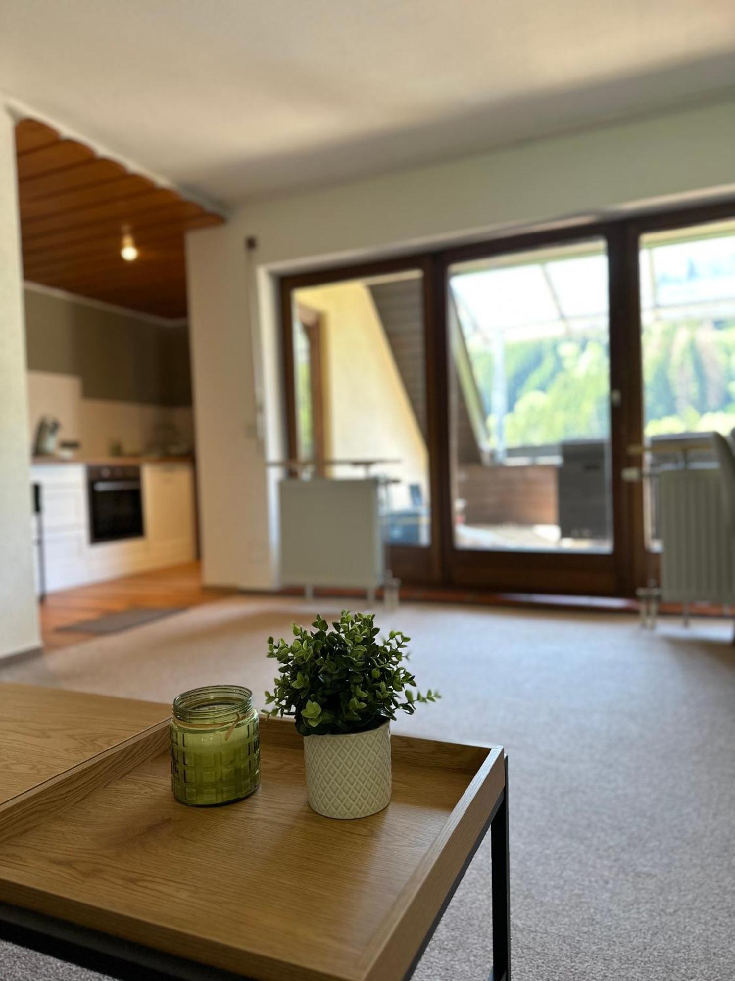 Bollenlodge - Ferienwohnung Mit Ausblick Und Top Lage Todtnau Εξωτερικό φωτογραφία