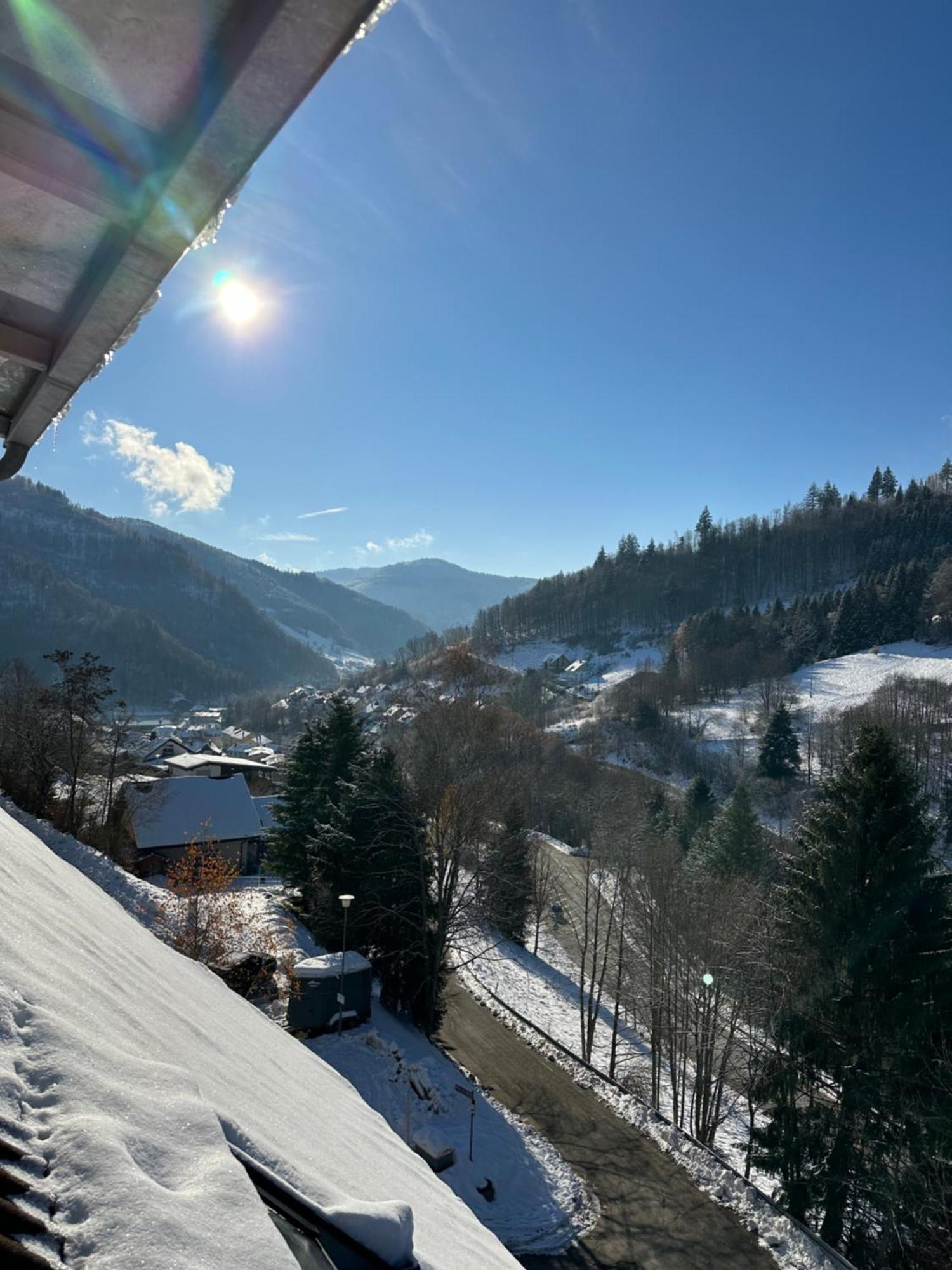 Bollenlodge - Ferienwohnung Mit Ausblick Und Top Lage Todtnau Εξωτερικό φωτογραφία